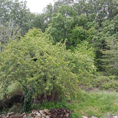 Apartament El Molino Sequeros Zewnętrze zdjęcie